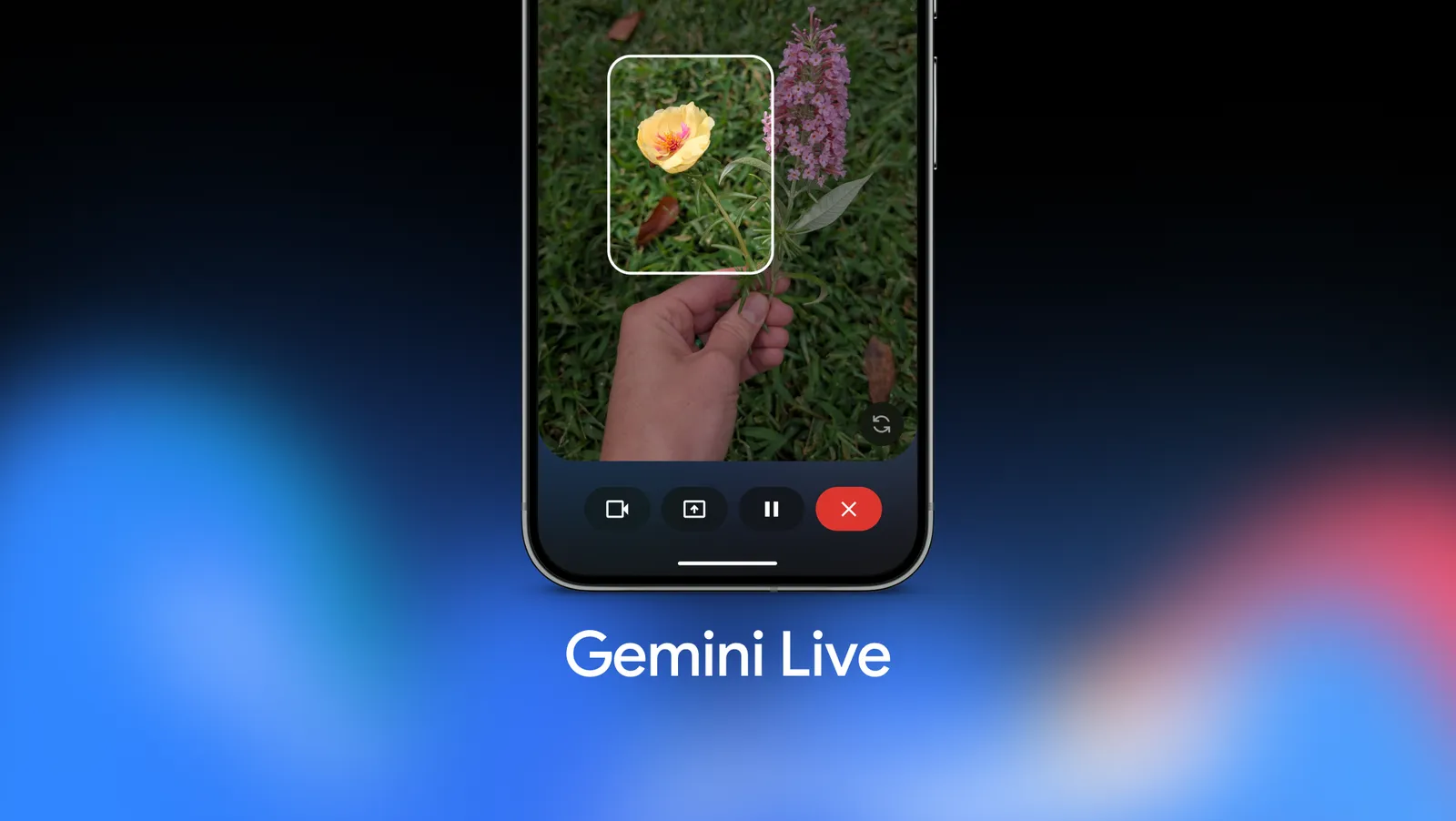 chat gemini AI